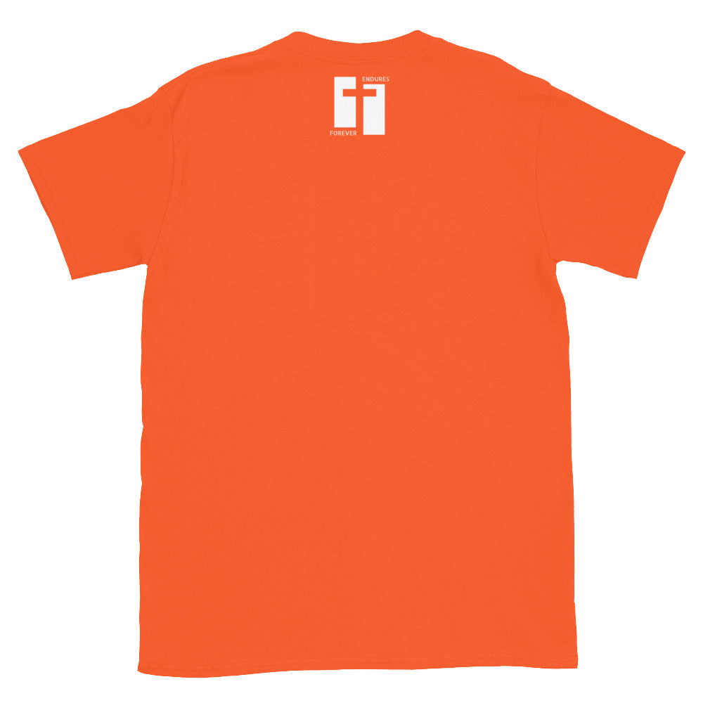 Orange t-shirt with a logo on the back against a gray background